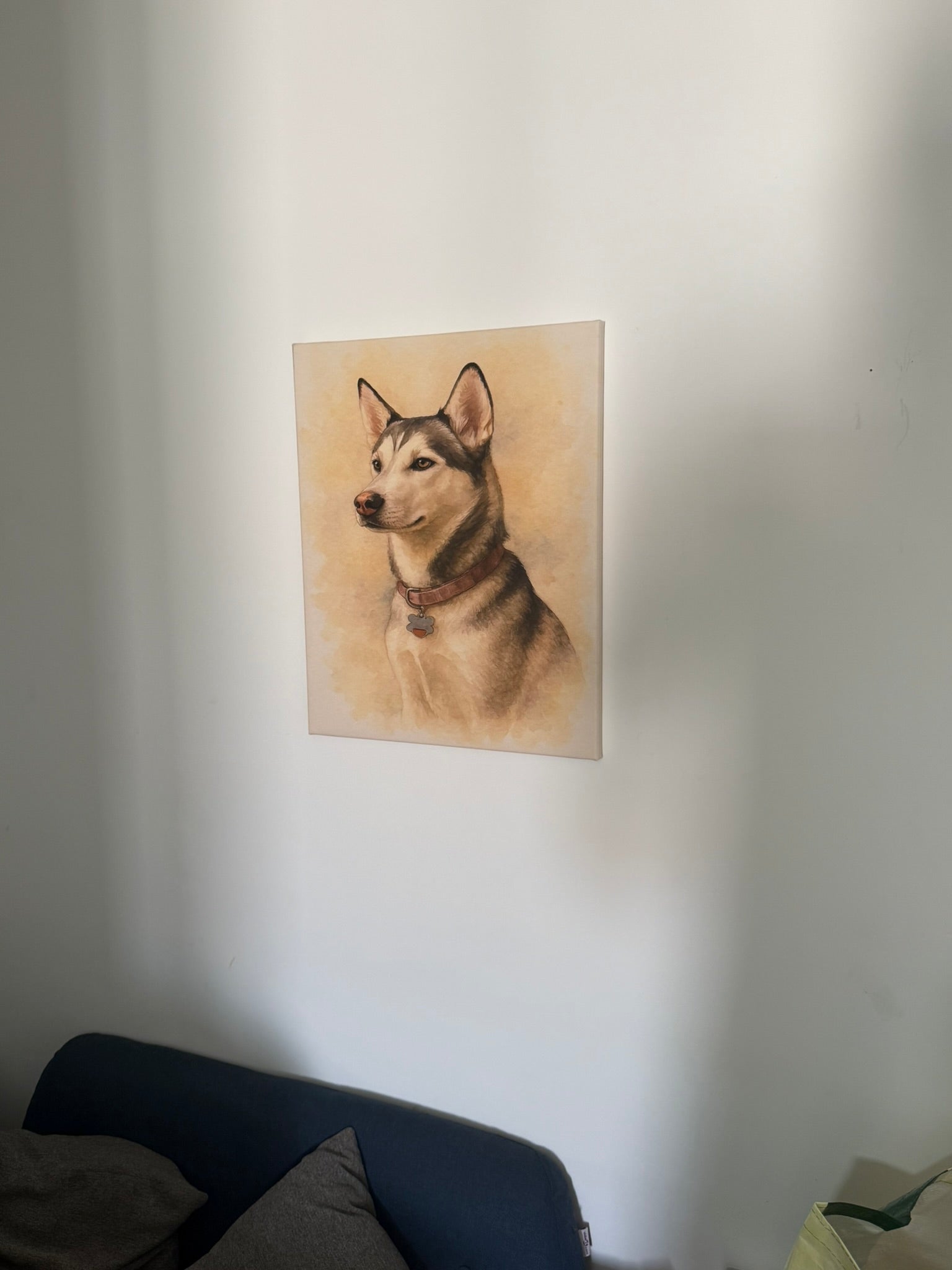 reseña de dibuya estudio